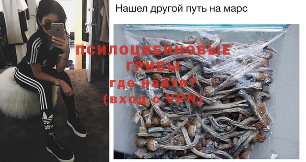 прущий лед Богородск