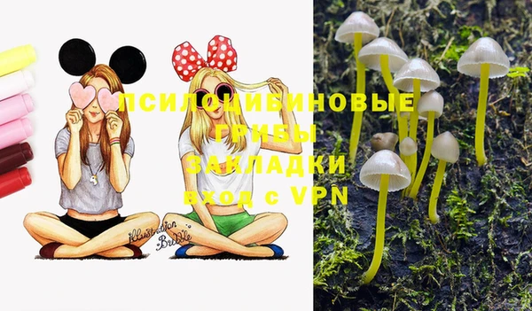 прущий лед Белокуриха