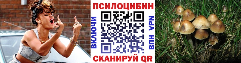 KRAKEN ONION цены наркотик Болгар Галлюциногенные грибы Psilocybe